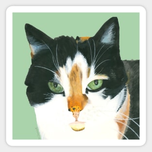 beautiful cat portrait Sticker